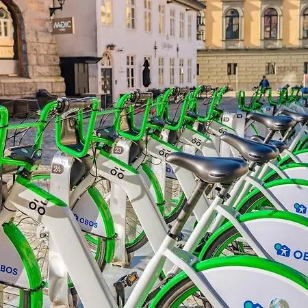 Private Bright Double Next To Fish Market Apartment